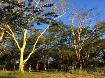 Activities-Bush-walks