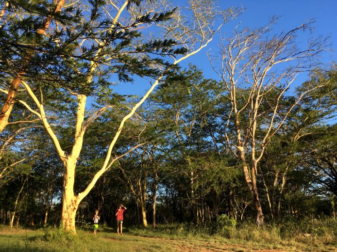 Activities-Bush-walks