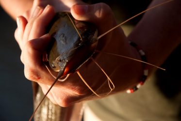 Activities-Fishing