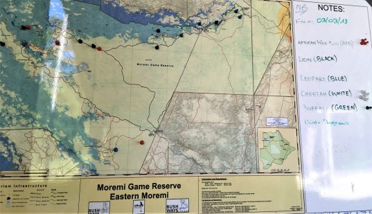Botswana-Moremi