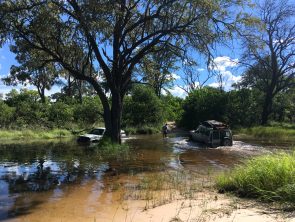 Botswana-River-Crossing