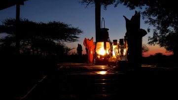 Camping-Bush-dinner