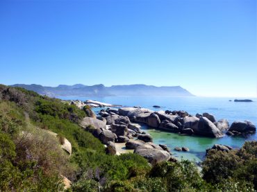 Cape-Town-Boulder's-Beach