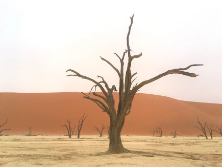 Namibia-Dead-Vlei