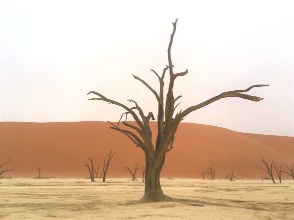 Namibia-Dead-Vlei